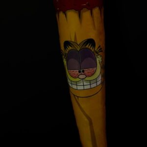 Cojín porro Garfield